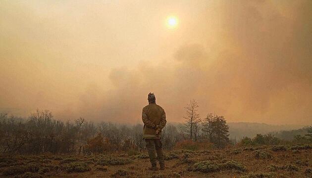 Massive Waldbrände in Patagonien – über 40.000 Hektar zerstört, Weltnaturerbe bedroht