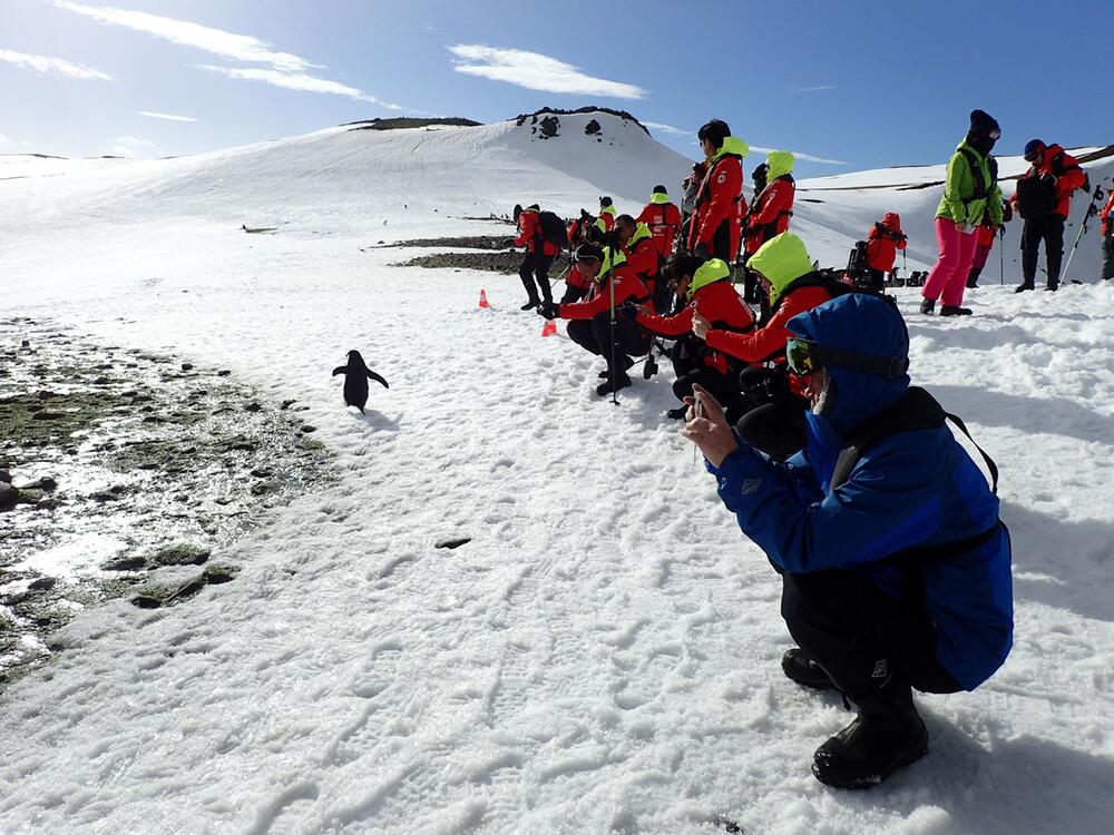 Tourismus in der Antarktis