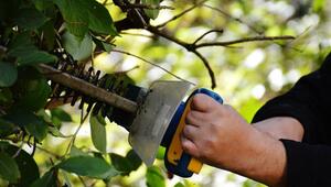 Heckenschere schärfen geht auch zu Hause