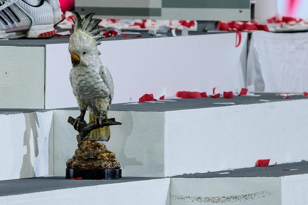 Bei der Meisterfeier in der Allianz Arena erlebt eine Kakadu-Figur seinen größten Moment.