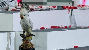Bei der Meisterfeier in der Allianz Arena erlebt eine Kakadu-Figur seinen größten Moment.