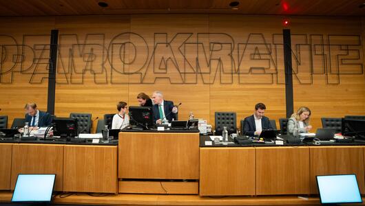 Pilnaceks Witwe und LKA-Chef zu Gast im U-Ausschuss