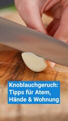 Knoblauch: Tipps für Atem, Hände und Wohnung