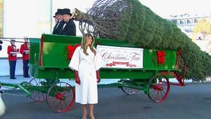 Weihnachtsstart im Weißen Haus: Melania Trump empfängt offiziellen Weihnachtsbaum