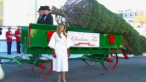 Weihnachtsstart im Weißen Haus: Melania Trump empfängt offiziellen Weihnachtsbaum
