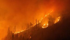 ++ HANDOUT ++ Massive Trockenheit führte zu rascher Ausbreitung des Feuers