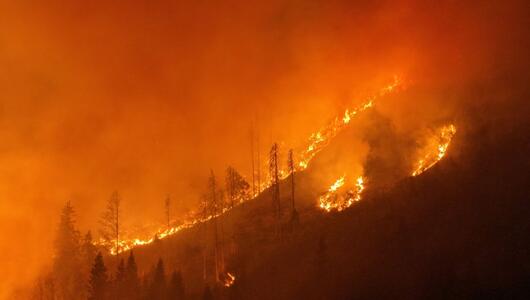 ++ HANDOUT ++ Massive Trockenheit führte zu rascher Ausbreitung des Feuers