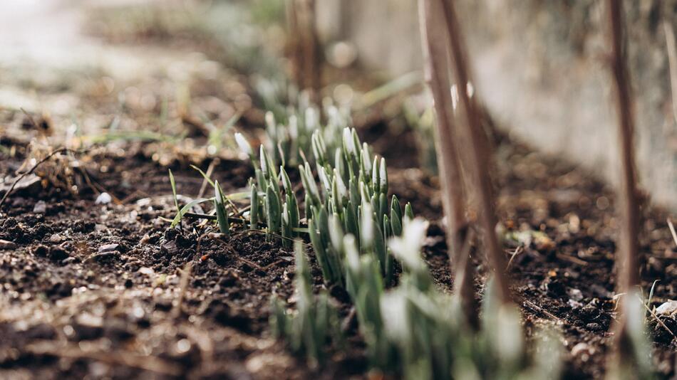 Frühling