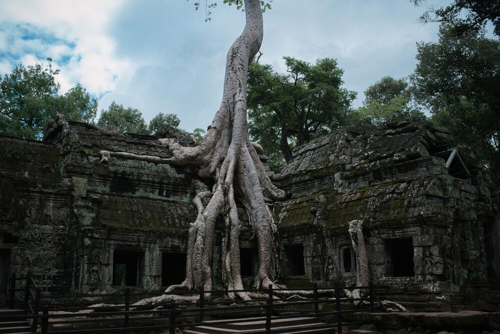 Tempelanlage Ta Prohm in Kambodscha