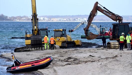 Wal an der Ostseeküste gestrandet