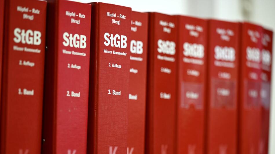 Bis zu sechs Monate Haft möglich