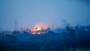 Waldbrand in Belgien