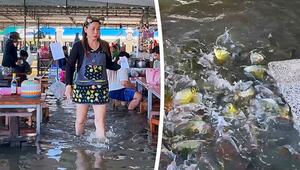 Fische um die Füße: Überflutetes Restaurant in Thailand serviert Nudeln im Hochwasser