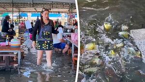 Fische um die Füße: Überflutetes Restaurant in Thailand serviert Nudeln im Hochwasser