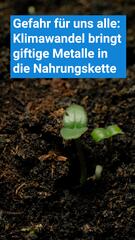 Klimawandel bringt giftige Metalle in die Nahrungskette