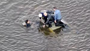 Einsatz im Eiswasser: Mann aus versunkenem Wagen gerettet