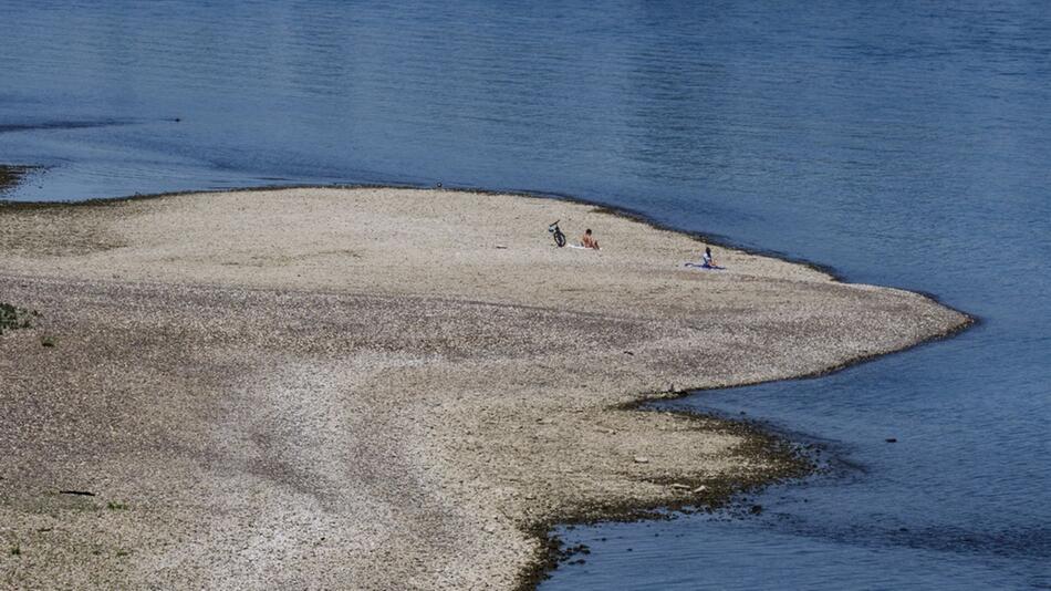 Sommer am Rhein