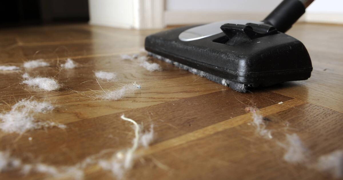 Diese Sachen sollten Sie mit dem Staubsauger nicht aufsaugen | GMX.AT