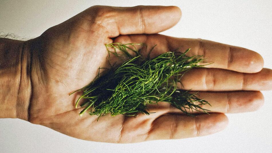 Plant-Points-Empfehlung: 30 Pflanzen pro Woche essen