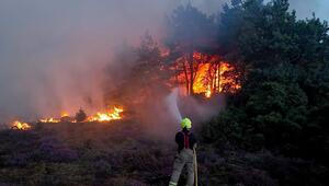 Englische Grafschaft in Flammen: Hunderte Menschen fliehen vor Großbrand