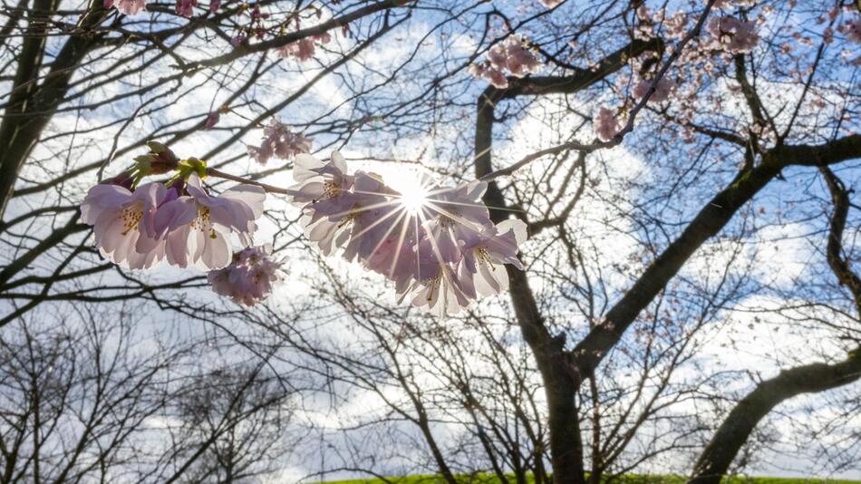 Wetter in Nordrhein-Westfalen