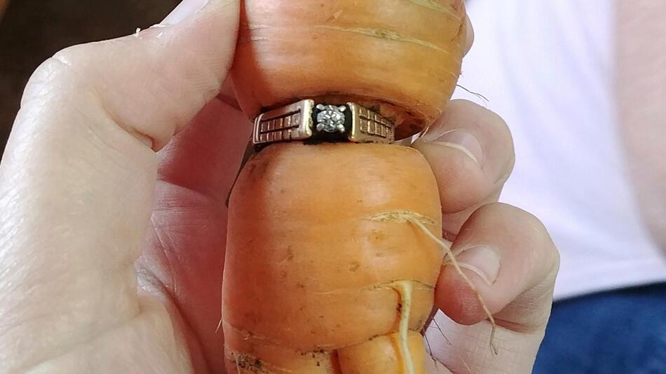 Karotte ist durch Ring hindurch gewachsen