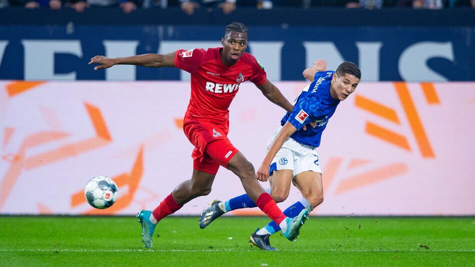 FC Schalke 04 - 1. FC Köln