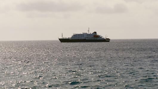 Drei Tote nach Hantavirus-Ausbruch auf Kreuzfahrtschiff