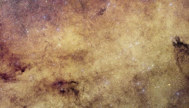 Euclids Blick auf den Galaxienkern unserer Galaxie