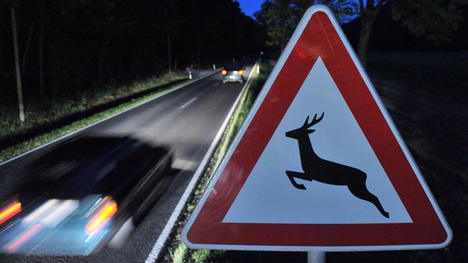 Ein Straßenschild warnt vor Wildwechsel