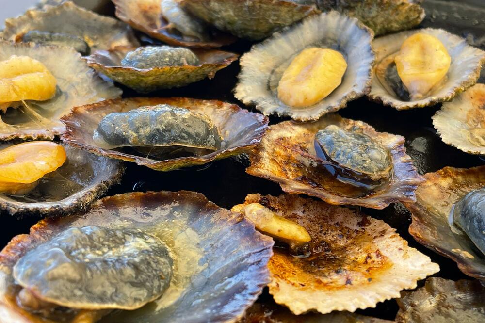 Napfmuscheln im Restaurant des Weinguts Fajã dos Padres