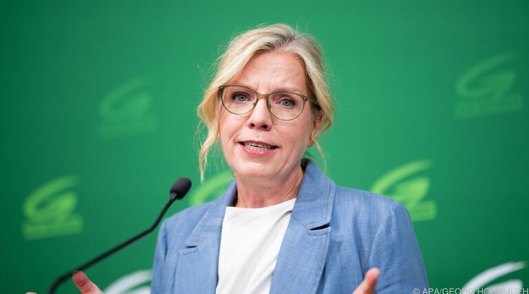 Gewessler will "das weltoffene Lager anführen"