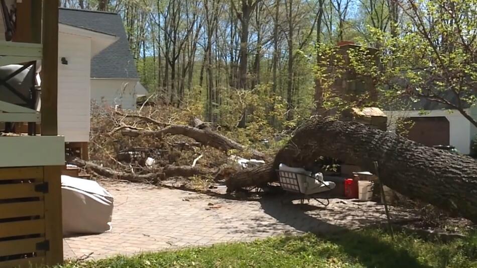 Umgestürzter Baum im Garten