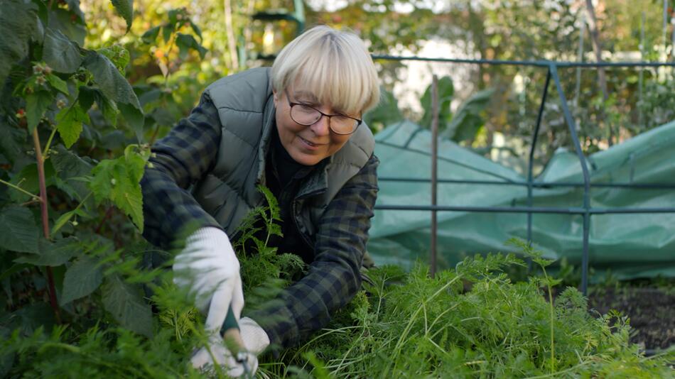 Pflanz-Saison: So lässt sich im heimischen Garten Geld sparen