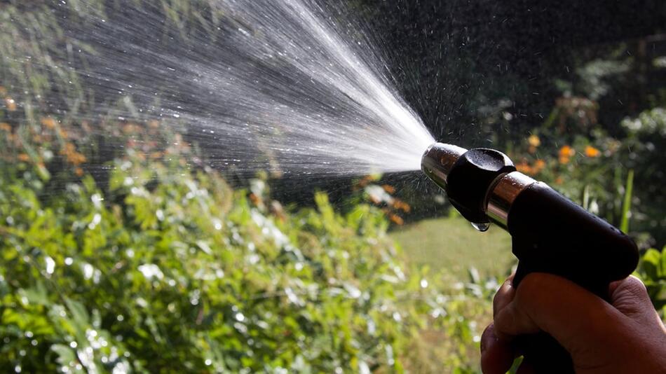 Trockenheit in Deutschland: Darf ich meinen Garten und Balkon noch gießen
