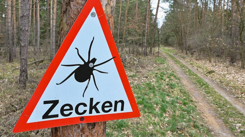Viele Haustierhalter versuchen Vierbeiner vor Parasiten zu schützen