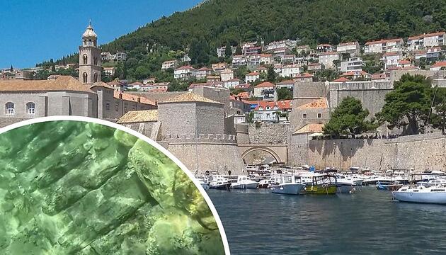 Über 200 Jahre im Hafen geschlummert: Taucher entdeckt historisches Wrack
