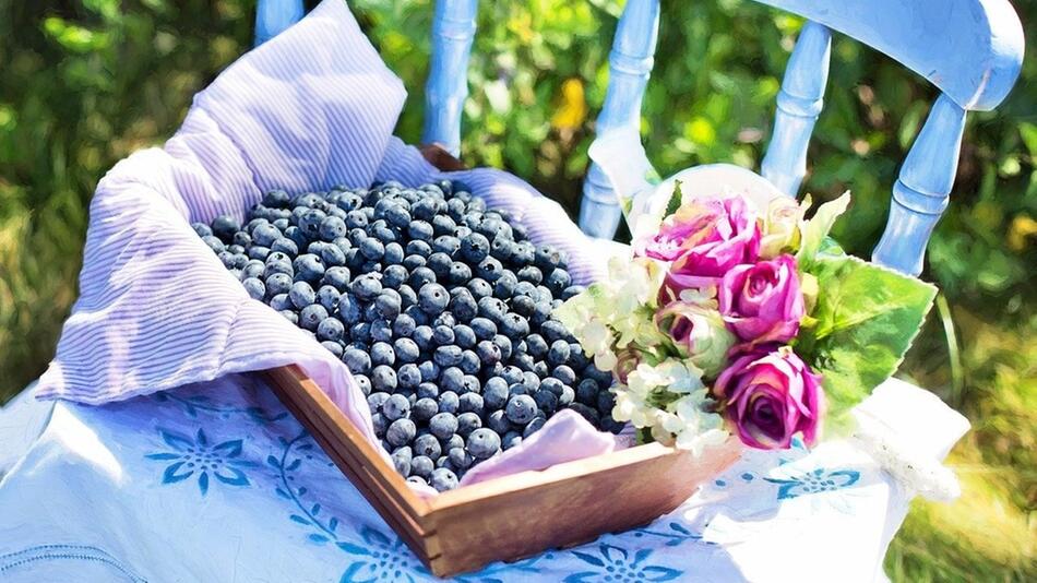 heidelbeeren düngen