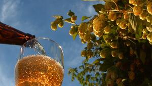 KORREKTUR! Flüssige Dickmacher? Die Wahrheit über Bier und Kalorien
