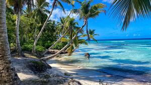 Palmen und Strand auf Soana