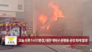 Südkorea: Dutzende Verletzte bei Großbrand in Autoteilefabrik