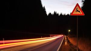 Ein Verkehrsschild warnt vor Wildwechsel an einer Landstraße