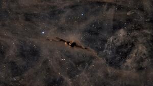 kosmische Fledermaus