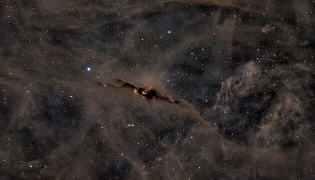 kosmische Fledermaus