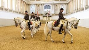 Eine Tanzeinlage entstand in der Spanischen Hofreitschule