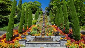Die Insel Mainau ist im Frühling und darüber hinaus bekannt als blühendes Blumenparadies.