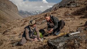 Forscher bei Probenahmen in den Bergen von Bhutan