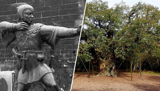 "Erstickt und ausgehungert": Uralte Robin-Hood-Eiche in Nottingham abgestorben