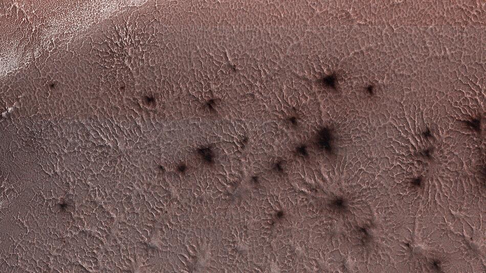 Mars-Spinnen