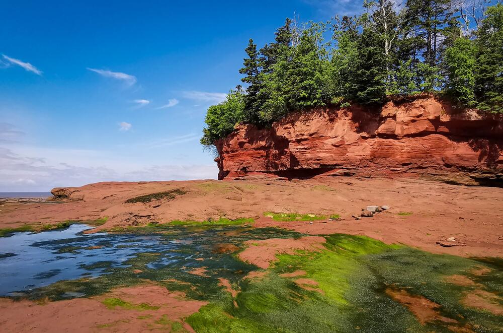 Ocean Floor im Burncoat Head Park